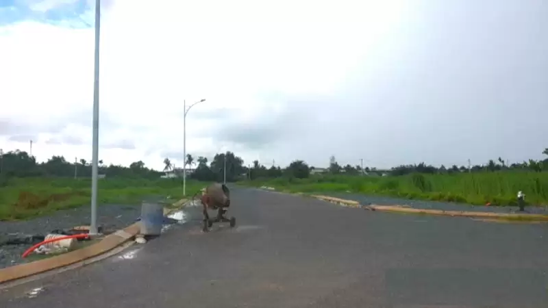 Nhiều dự án bất động sản tại Cần Thơ sẽ được xác định giá đất cụ thể
