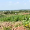 Bà Rịa – Vũng Tàu: Chào mời thẩm định giá đất 7 dự án
