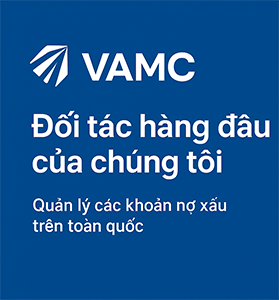 Công ty Quản lý tài sản (VAMC)