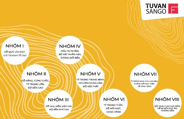 Bảng phân loại các nhóm gỗ ở Việt Nam theo tiêu chuẩn mới nhất 3 Gỗ được chia thành 8 nhóm theo tiêu chuẩn đo lường của quốc tế